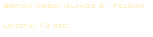 British Virgin Islands 6 - Pelican

Length: 13 sec. 

