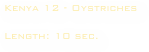 Kenya 12 - Oystriches

Length: 10 sec. 
