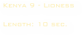 Kenya 9 - Lioness

Length: 10 sec. 
