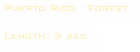 Puerto Rico - Forest

Length: 9 sec. 
