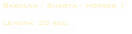 Babolna / Shagya - Horses 1

Length: 20 sec. 
