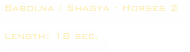 Babolna / Shagya - Horses 2

Length: 18 sec. 
